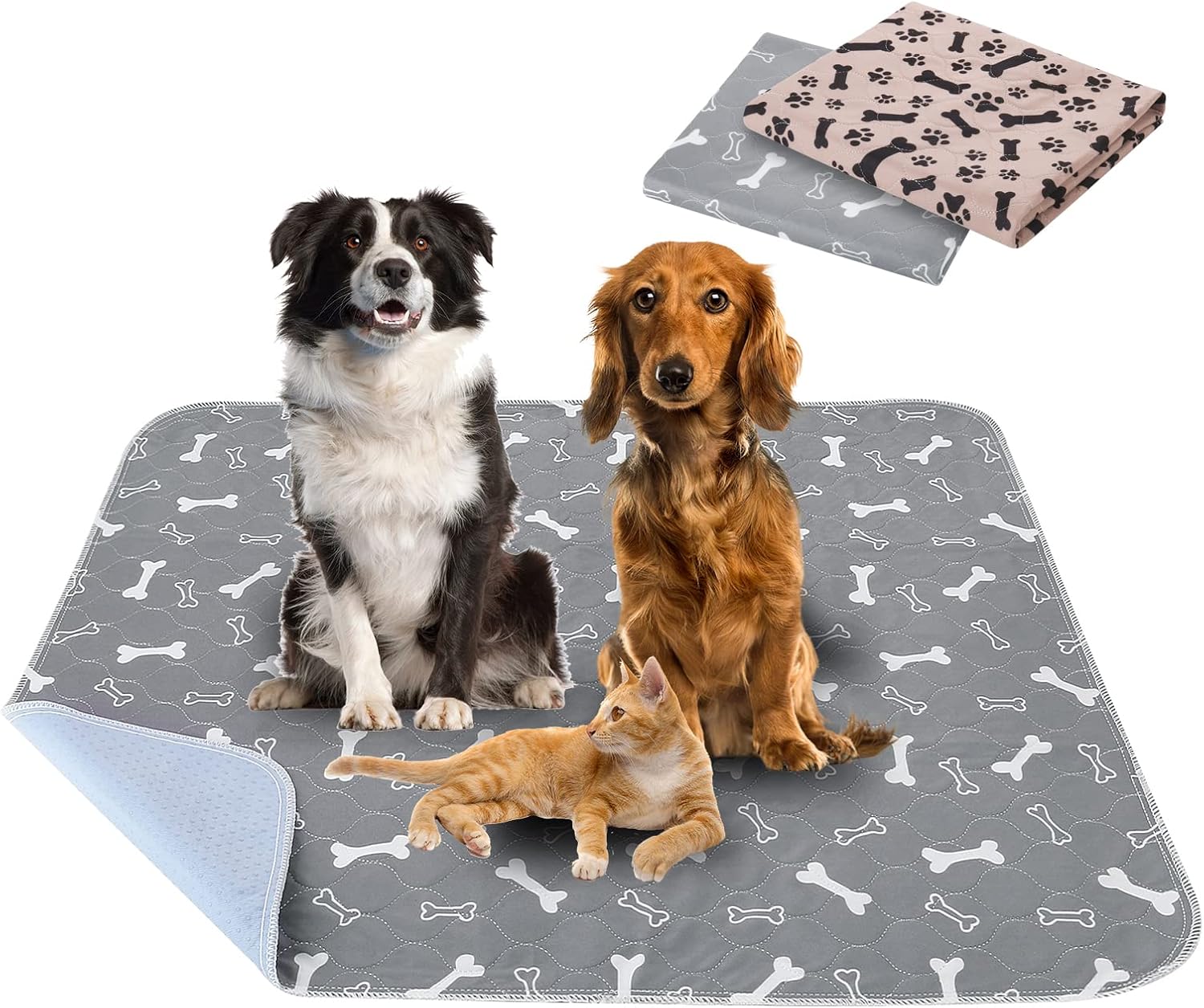 Best Smart Pet Tech 2026: Feeders, Cameras & Trackers