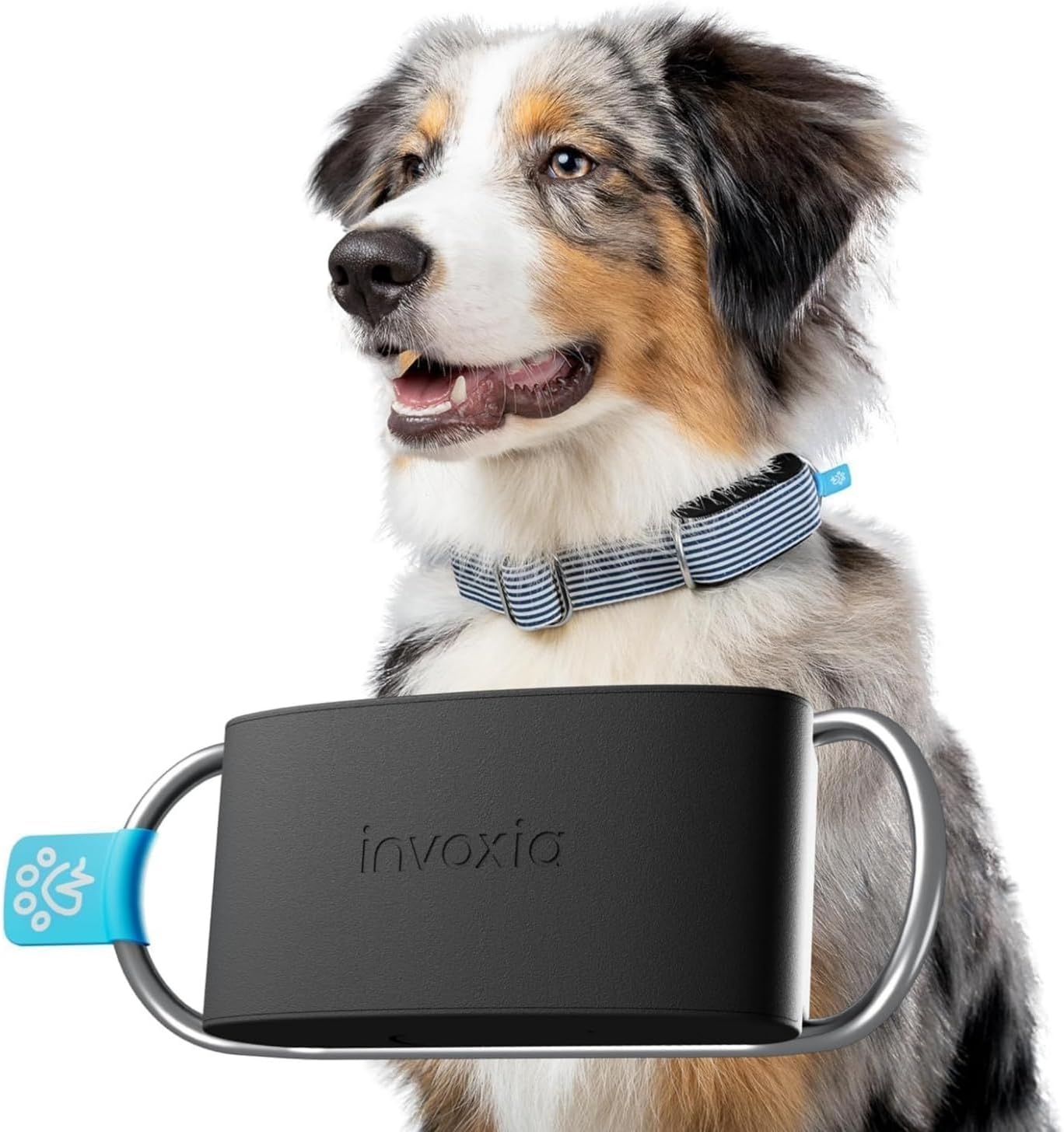 Invoxia Minitailz — Health & GPS Tracker for Dogs